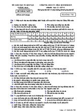 Đề kiểm tra học kì I môn Địa lý Lớp 12 - Mã đề 702 - Năm học 2018-2019 - Sở giáo dục và đào tạo Quảng Nam